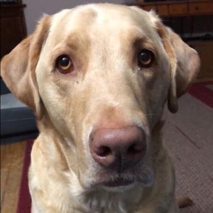 Meet your Posher, Jill